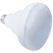 9 Watt R-30 Energy Saving Warm - White Long Neck Lamp, Dim UL